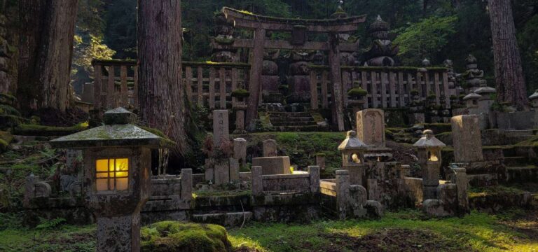 mossy cemetery in the forest in Japan with sunrays filtering through the trees