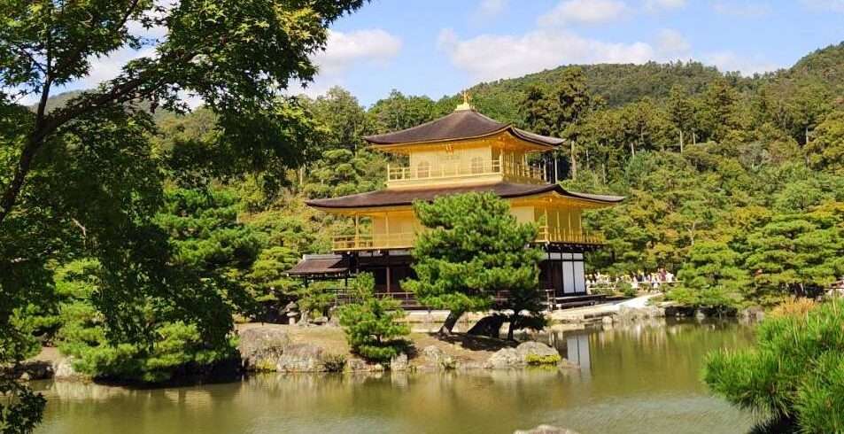 picture of the iconic dark wood and golden pavilion in Kyoto , surrounded by beautiful green trees