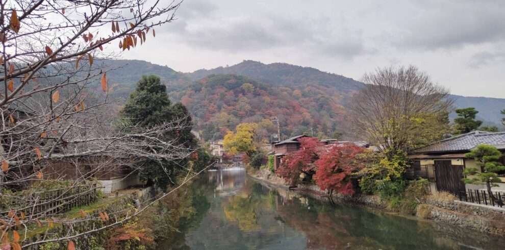 Picture of autumn leaves around river running through the famous city of Arashiyama in Japan