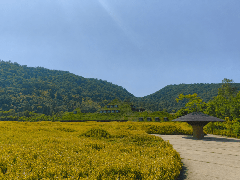ChatGPT Image 26 mai 2026 à 16_08_24