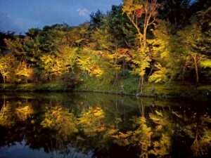 LINE_ALBUM__260728_7