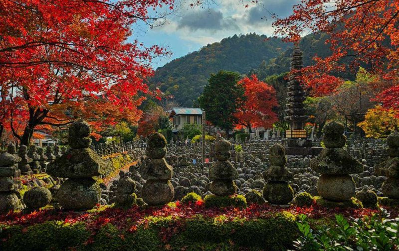 mossy structures in the mountains with autumn leaves in a Japanese temple