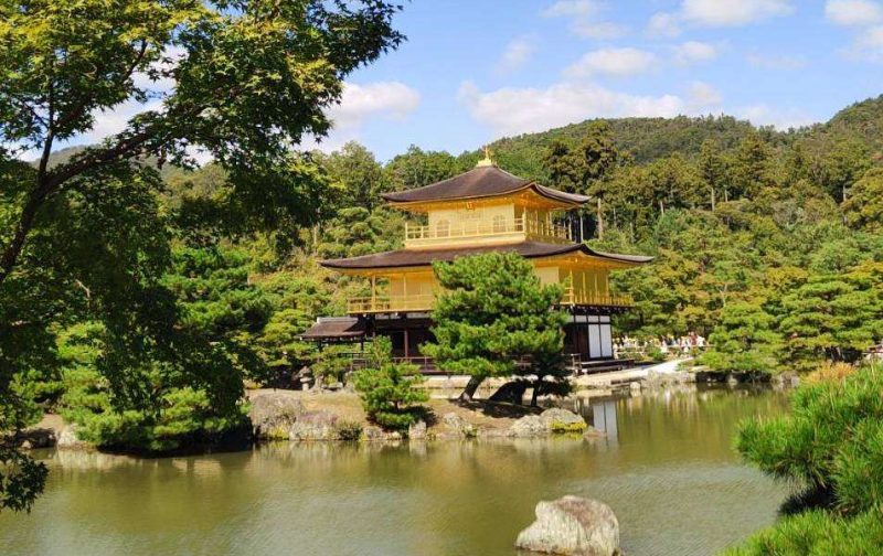 picture of the iconic dark wood and golden pavilion in Kyoto , surrounded by beautiful green trees