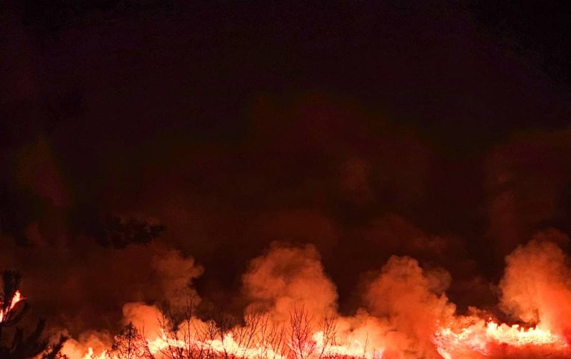 mountain burning in Nara during a festival on mount Wakakusa