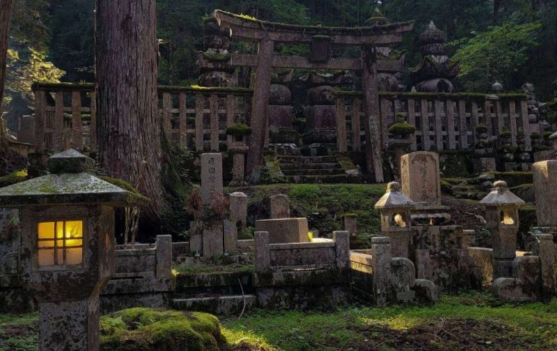 mossy cemetery in the forest in Japan with sunrays filtering through the trees